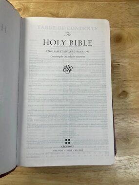 ESV Large Print Thinline Bible Tan TruTone Ornament Crossway 2016 Smyth Sewn